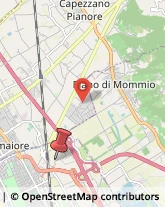 Via dei Coltivatori, 15,55049Viareggio