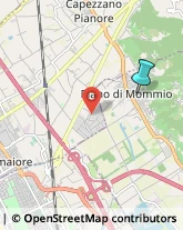 Comuni e Servizi Comunali,55054Lucca