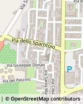 Via Ruggero Leoncavallo, 6,51100Pistoia