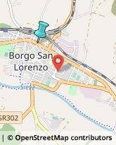 Aziende Sanitarie Locali (ASL),50032Firenze