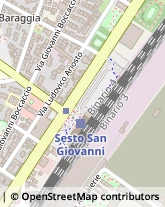 Via Ludovico Ariosto, 149,20099Sesto San Giovanni