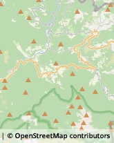 Aziende Sanitarie Locali (ASL),16048Genova