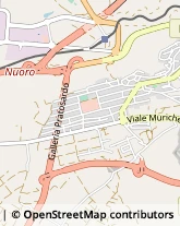 Viale delle Rose, 64,08100Nuoro