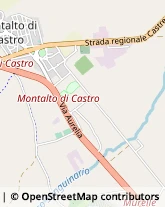 Piazza Vulci, 5,01100Montalto di Castro