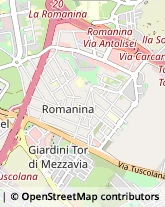 Via del Ponte delle Sette Miglia, 139,00173Roma