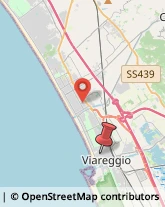 Via Sant'Andrea, 122,55049Viareggio