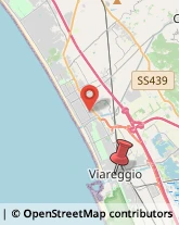 Via S. Francesco, 80,55049Viareggio