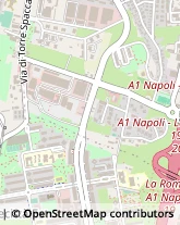 Viale Antonio Ciamarra, 259,00173Roma