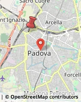 Via Fra' Paolo Sarpi, 132,35033Padova