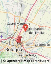 Via Giacomo Ciamician, 4,40217Bologna