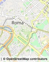 Via d'Aracoeli, 41,00186Roma