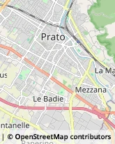 Viale Vittorio Veneto, 80,59100Prato