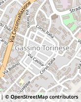 Via Giuseppe Mazzini, 20,10090Gassino Torinese