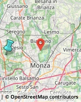 Agenzie di Animazione e Spettacolo,20814Monza e Brianza