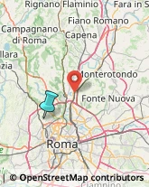 Disinfezione, Disinfestazione e Derattizzazione,00135Roma