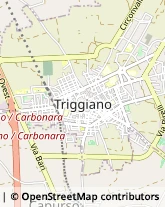 Via Michele Tridente, 42,70019Triggiano