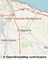 Largo Guglielmo Marconi, 41,70010Valenzano