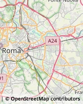 Via Iberia, 80,00183Roma