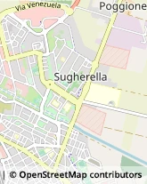 Via Svezia, 21,58100Grosseto