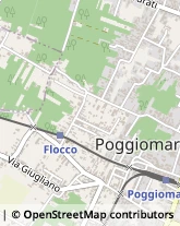 Via Nappi, 67,80040Poggiomarino