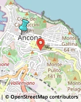 Bed e Breakfast,60121Ancona