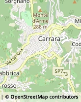 Pubblicità - Consulenza e Servizi,54033Massa-Carrara