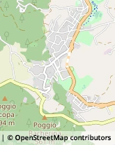 Viale Guido Baccelli, 26,53042Chianciano Terme