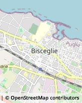 Viale V. Calace, 64,76011Bisceglie