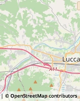 Via delle Tagliate Prima, 231,55100Lucca