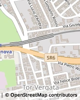 Via di Tor Vergata, 10,00133Roma