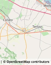 Via Derna, 40/42,70038Terlizzi