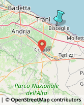 Consulenza Agricoltura e Foresta,70052Barletta-Andria-Trani