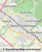 Autofficine e Centri Assistenza,50019Firenze