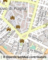 Via Le Monache, 8,70037Ruvo di Puglia