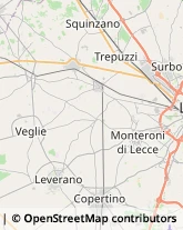 Via Venezia, 4,73047Monteroni di Lecce