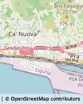 Via San Romolo, 27,16157Genova