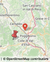 Località San Donato, ,53037San Gimignano