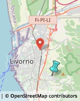 Smaltimento e Trattamento Rifiuti - Servizio,57124Livorno