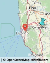 Riproduzione Disegni - Servizio,57014Livorno