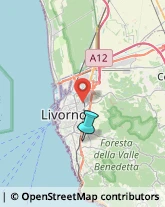 Legna da ardere,57128Livorno