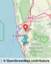 Legna da ardere,57128Livorno