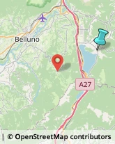 Comuni e Servizi Comunali,32016Belluno