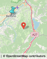 Articoli da Regalo - Dettaglio,32100Belluno