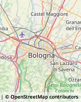 Chiropratica,40132Bologna