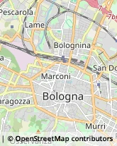 Scuole e Corsi di Lingua,40123Bologna