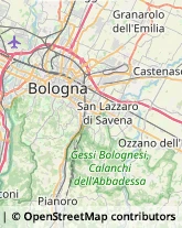 Via Mario Fantin, 15,40131Bologna