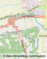 Falegnami,02100Rieti