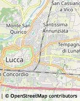 Scuole e Corsi per Corrispondenza e Teledidattica,55100Lucca