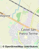 Via Colombarina, 400,40024Castel San Pietro Terme