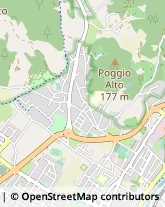 Via Cantagallo, 307,59100Prato